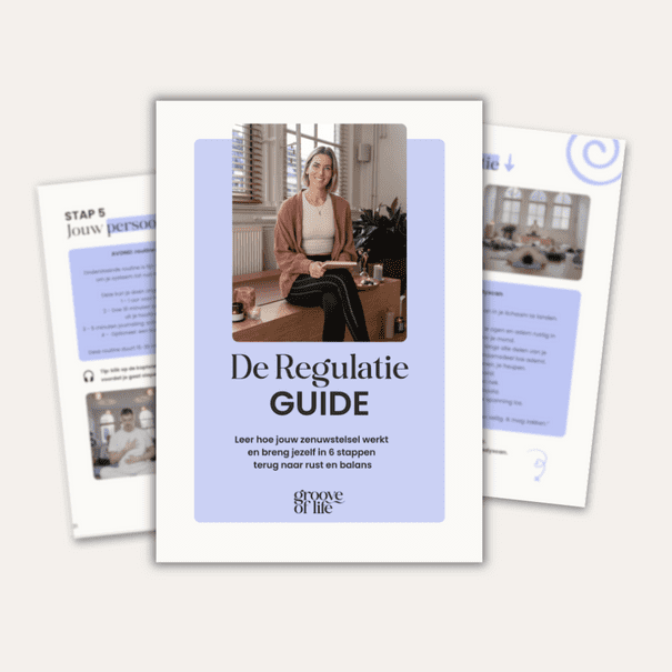 De Regulatie Guide